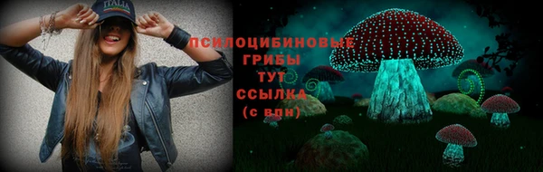 первитин Козловка