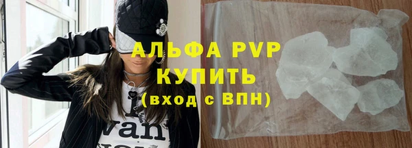 гидра Кодинск