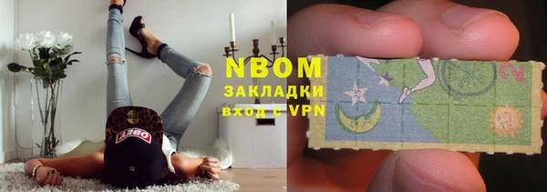 гидра Кодинск