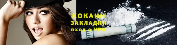 тгк Нея