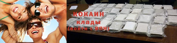 гидра Кодинск