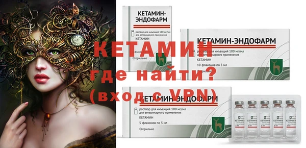 гидра Кодинск