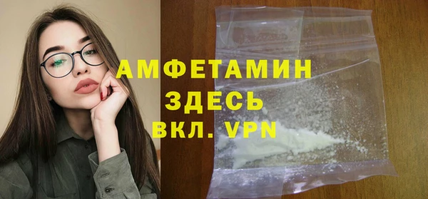 гидра Кодинск