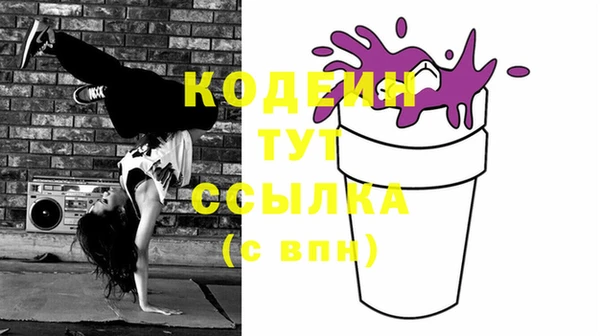 гидра Кодинск