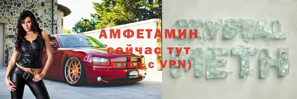 гидра Кодинск