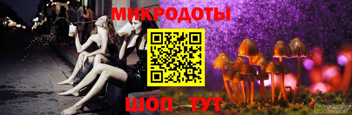 Красный Сулин  Галлюциногенные грибы MAGIC MUSHROOMS  купить закладку  Вход с VPN 